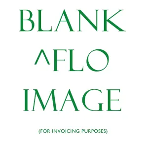 Blank ^FLO record for invoicing purposes