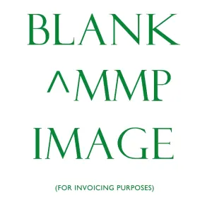 Blank ^MMP record for invoicing purposes