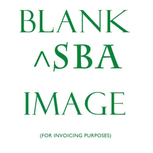 Blank ^SBA record for invoicing purposes Blank ^SBA record for invoicing purposes