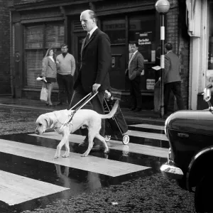 Blind man with guide dog crossing the road Blind man with guide dog crossing the road