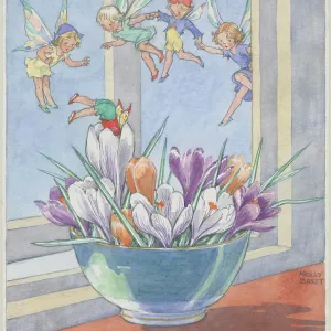 Bowl of crocuses with fairies flying around Bowl of crocuses with fairies flying around