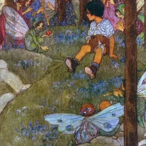 A boy is enchanted by the fairies of the forest A boy is enchanted by the fairies of the forest