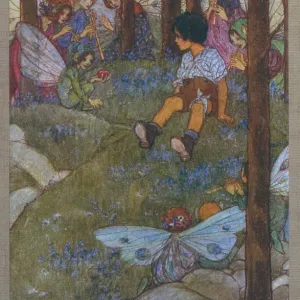 Boy enchanted by the fairies of the forest Boy enchanted by the fairies of the forest
