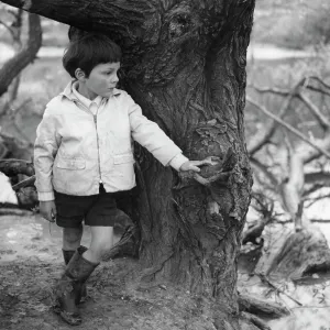 Boy standing by a tree trunk Boy standing by a tree trunk