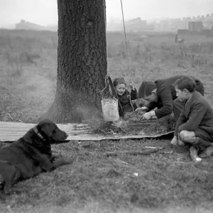 Three boys and a dog on wasteland Three boys and a dog on wasteland