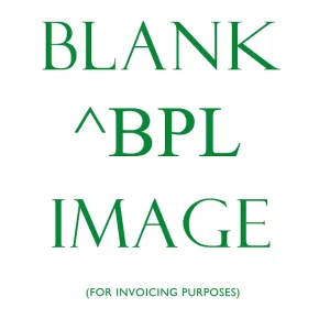 BPL - Placeholder Image for Invoicing purposes BPL - Placeholder Image for Invoicing purposes