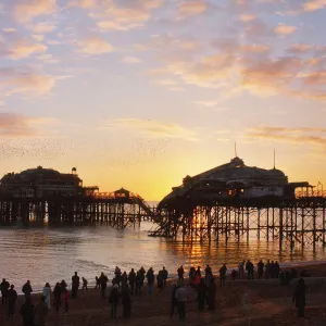 Brighton West Pier - Sunset Brighton West Pier - Sunset