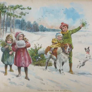 BRINGING HOME THE HOLLY BRINGING HOME THE HOLLY