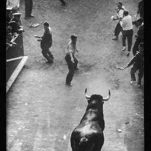 BULL RUNNING / PAMPLONA
