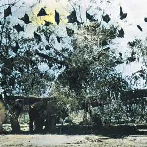 Camouflaged US fighter plane in China