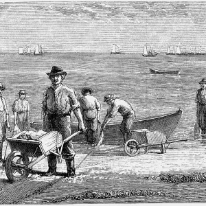 Cape Cod fisherman washing fish. Wood engraving Cape Cod fisherman washing fish. Wood engraving