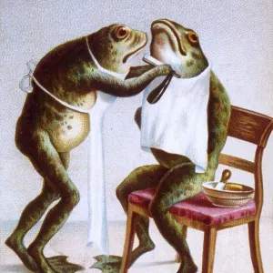 CARD ; FROGS SHAVING CARD ; FROGS SHAVING