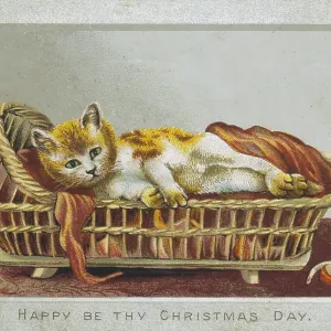CAT IN CAT BASKET CAT IN CAT BASKET