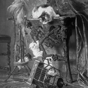 Cat and three kittens with a birdcage Cat and three kittens with a birdcage