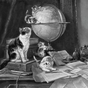 Cats and kittens playing with a globe on a desk Cats and kittens playing with a globe on a desk