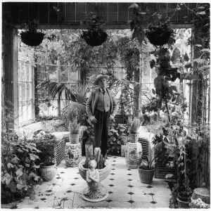 Collections: Making Movies