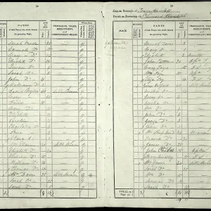 Census entry for William Toye