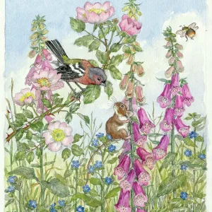 Chaffinch field mouse, foxgloves and bee Chaffinch field mouse, foxgloves and bee
