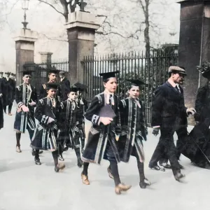 Chapel Royal choristers
