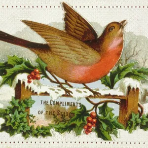 Christmas Robin on a Gate