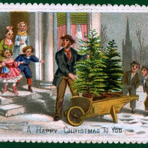Christmas tree seller