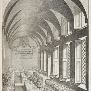 Citrus trees in a hothouse 1646 Citrus trees in a hothouse 1646