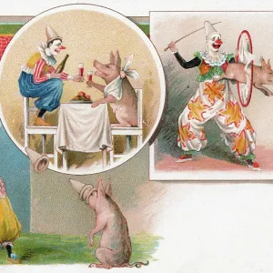 Clowns and pigs Clowns and pigs