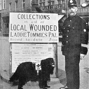 COLLECTING FOR WOUNDED COLLECTING FOR WOUNDED