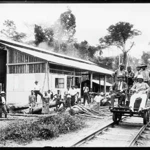 COLONIALISM/SAW MILL COLONIALISM/SAW MILL