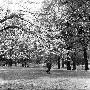 COUPLE IN HYDE PARK COUPLE IN HYDE PARK