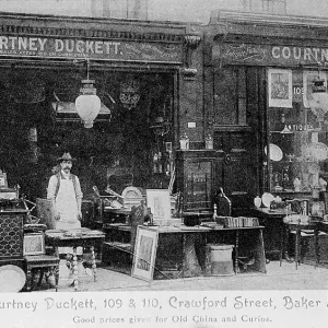 Prints of Pharcide Collections: Pharcide