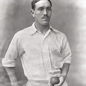 CRICKETER, BROWN CRICKETER, BROWN