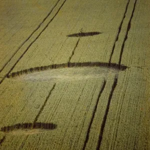 Crop circles, part of a Quintuplet