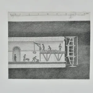 Collections: The Geological Society