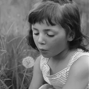 DANDELION GIRL DANDELION GIRL