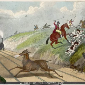 DEER HUNT & RAILWAY DEER HUNT & RAILWAY