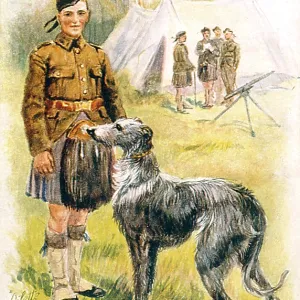 DEERHOUND MASCOT DEERHOUND MASCOT