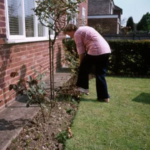 DIGGING GARDEN 1970S DIGGING GARDEN 1970S