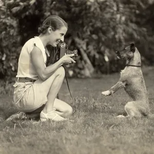 Dogs