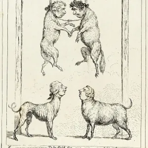 The Dog Tax The Dog Tax