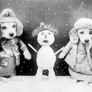 Two dogs and a snowman Two dogs and a snowman
