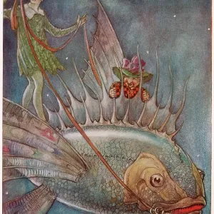The Dream Pedlar - I'm beginning to enjoy myself The Dream Pedlar - I'm beginning to enjoy myself