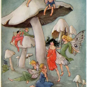 The Dream Pedlar - Where Mushrooms Grow The Dream Pedlar - Where Mushrooms Grow