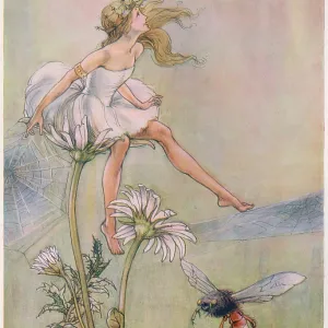The Dream Pedlar - Sat on the Top of a Large Daisy The Dream Pedlar - Sat on the Top of a Large Daisy