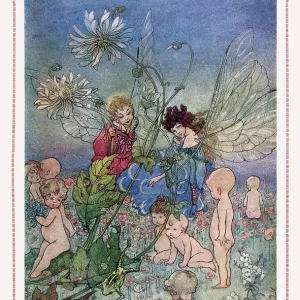 Dust Jacket for A Treasury of Flower Stories Dust Jacket for A Treasury of Flower Stories