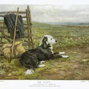 On Duty by W. Luker