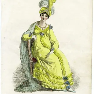 Early Nineteenth Century Lady's Evening Dress Early Nineteenth Century Lady's Evening Dress