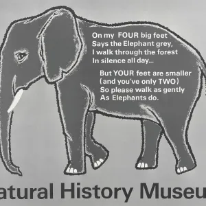 Elephant; Walk Quietly Elephant; Walk Quietly