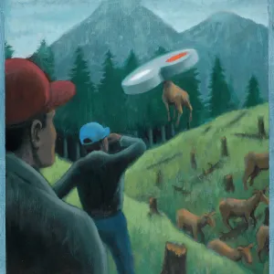 ELK ABDUCTED BY UFO 1999 ELK ABDUCTED BY UFO 1999