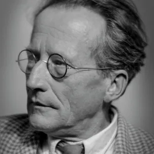 Erwin Schrodinger, Theoretical Physicist